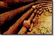 Log Wall